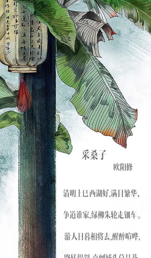 央视报道阜阳!嫩柳清风西湖好 游人相将踏青来